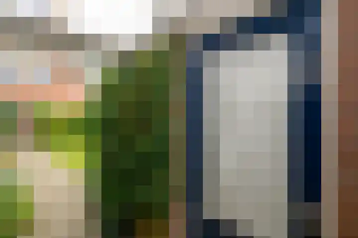 Sweelincklaan 61 's-Gravenzande thumbnail 15