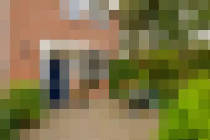 Sweelincklaan 61 's-Gravenzande thumbnail 30