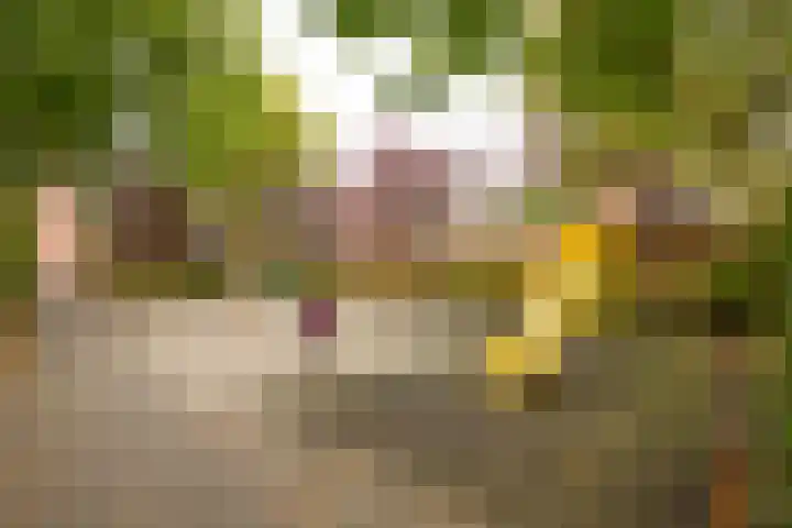 Sweelincklaan 61 's-Gravenzande thumbnail 31