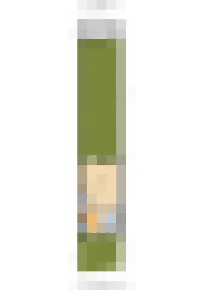 Sweelincklaan 61 's-Gravenzande thumbnail 32