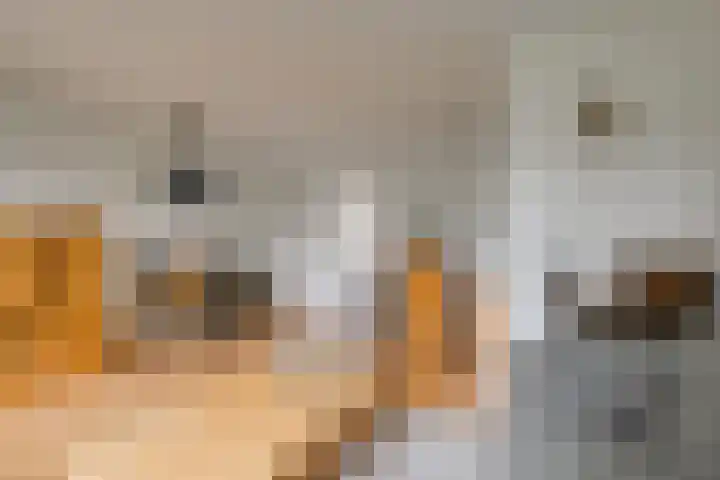 Sweelincklaan 61 's-Gravenzande thumbnail 7