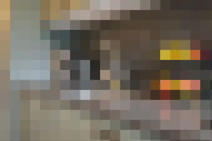 Sweelincklaan 62 Ede thumbnail 12