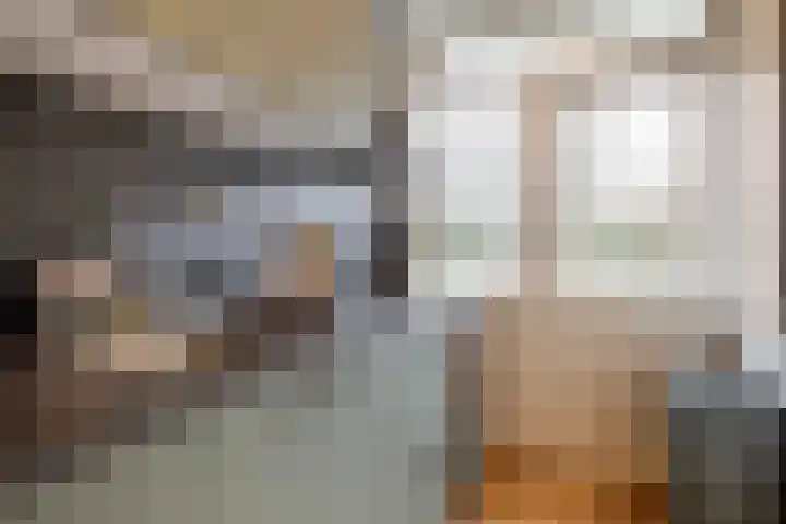 Sweelincklaan 62 Ede thumbnail 14