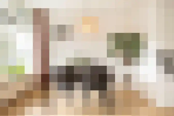 Sweelincklaan 62 Ede thumbnail 17