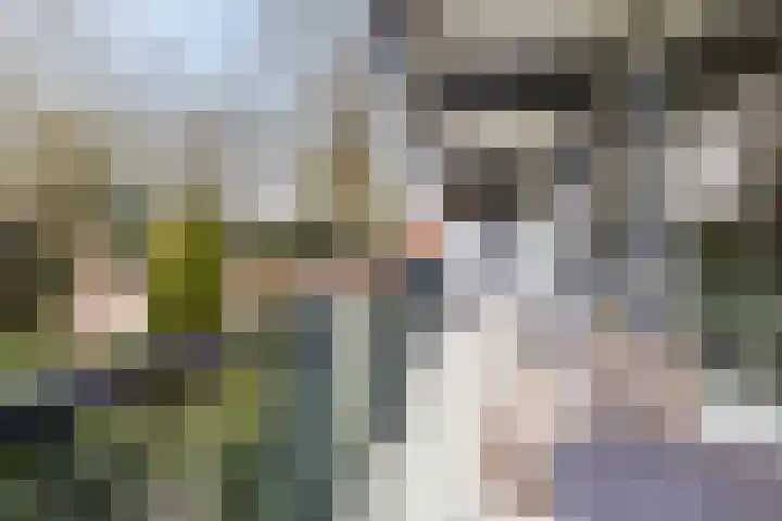 Sweelincklaan 62 Ede thumbnail 34