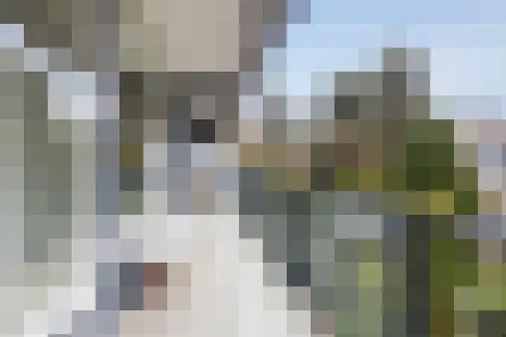 Sweelincklaan 62 Ede thumbnail 36