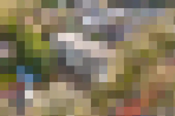 Sweelincklaan 62 Ede thumbnail 40