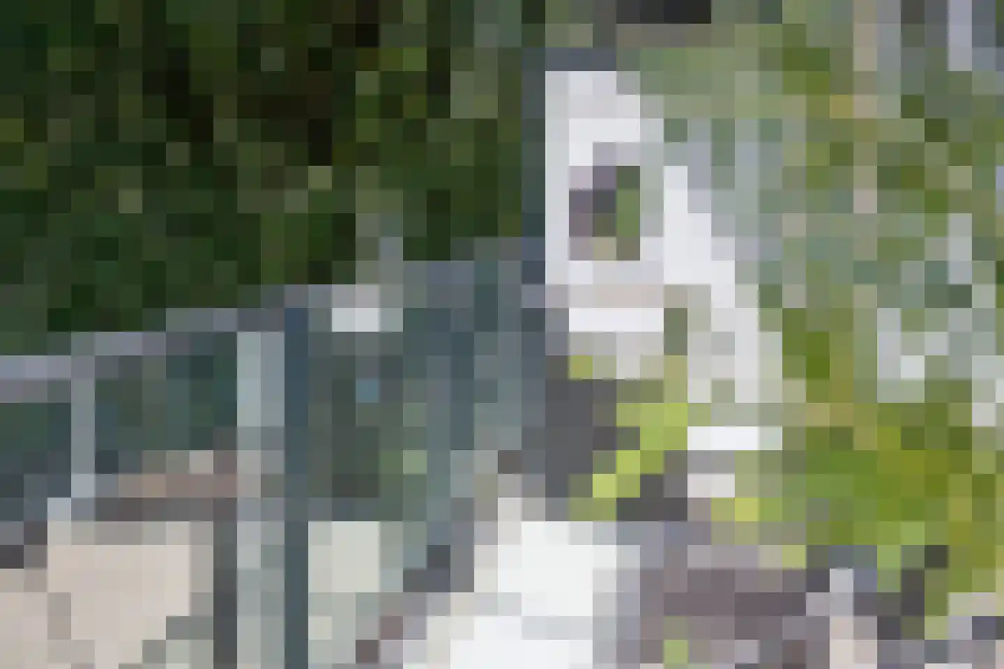 Sweelincklaan 66 Ede thumbnail 13