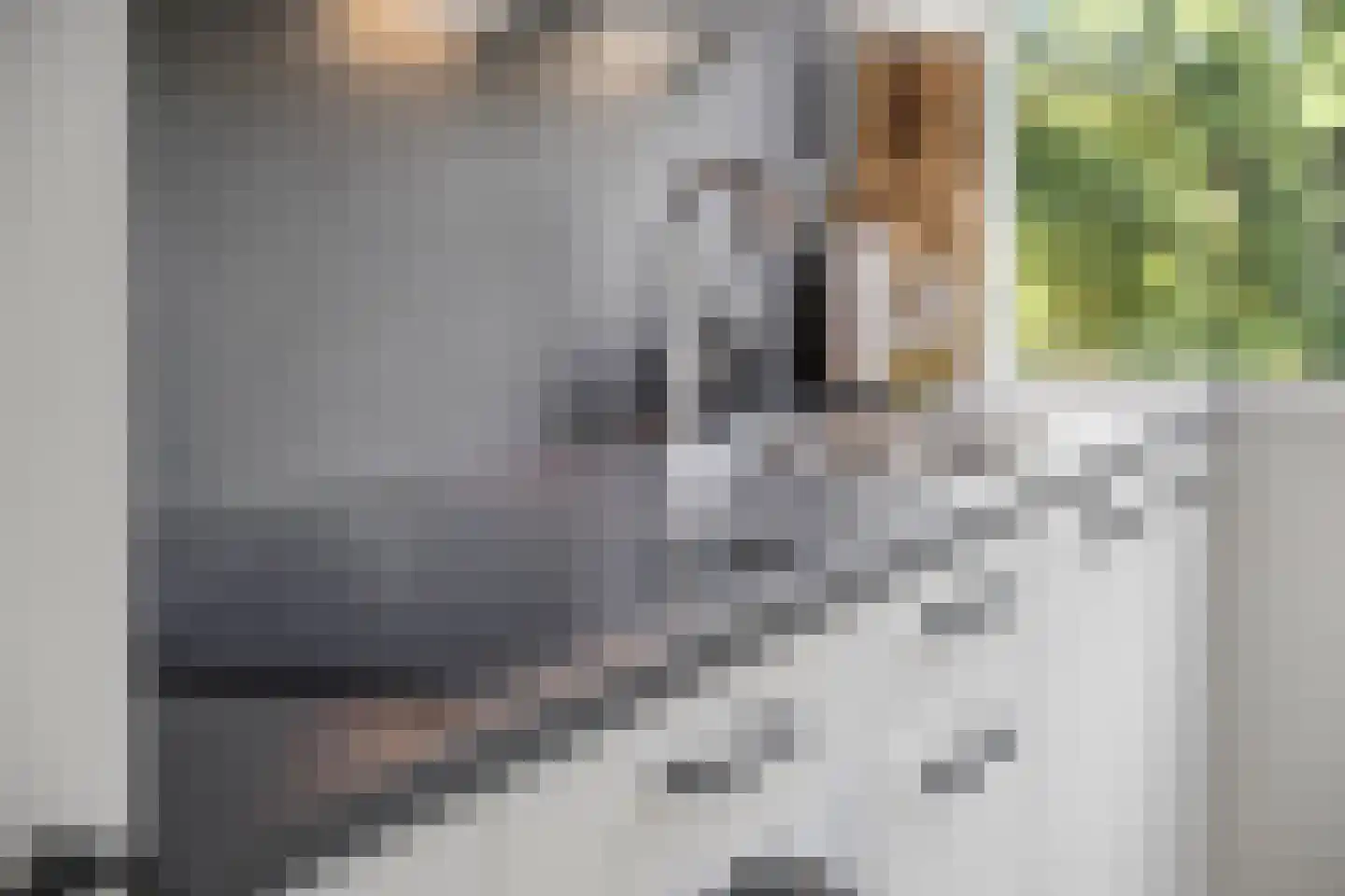Sweelincklaan 66 Ede thumbnail 15