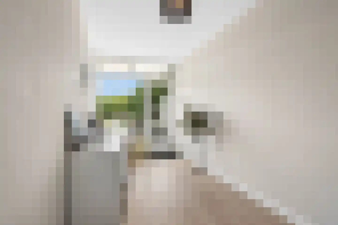 Sweelincklaan 66 Ede thumbnail 21