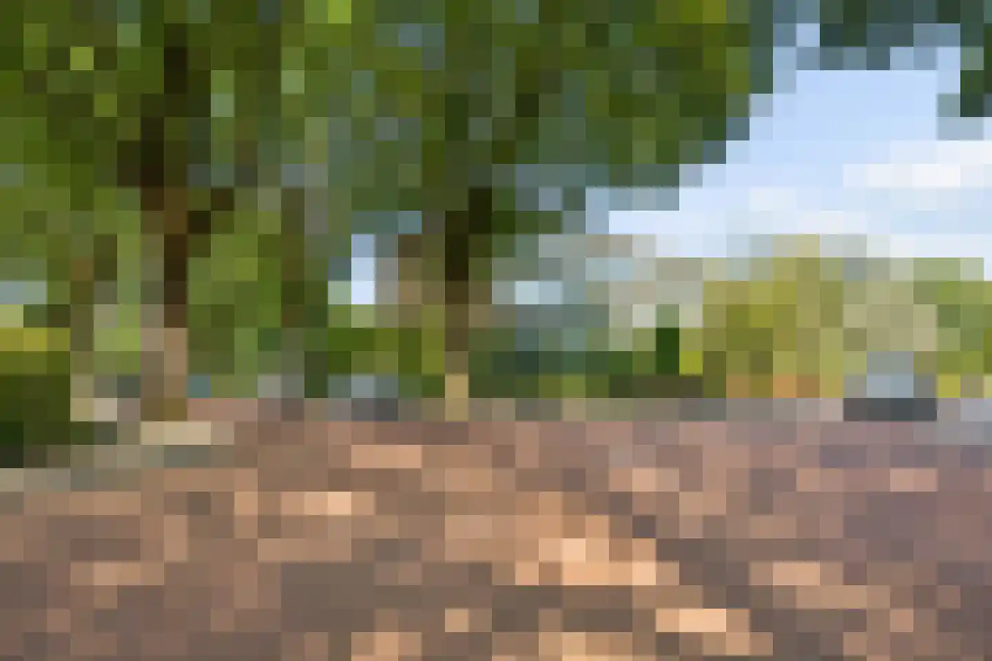 Sweelincklaan 66 Ede thumbnail 32