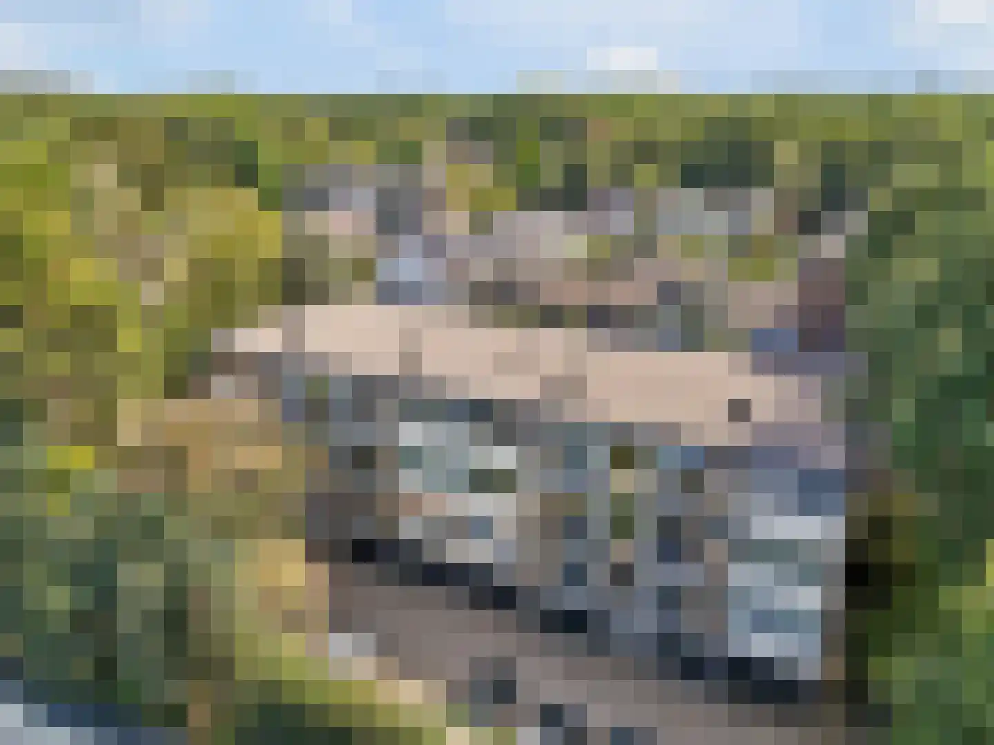 Sweelincklaan 66 Ede thumbnail 37