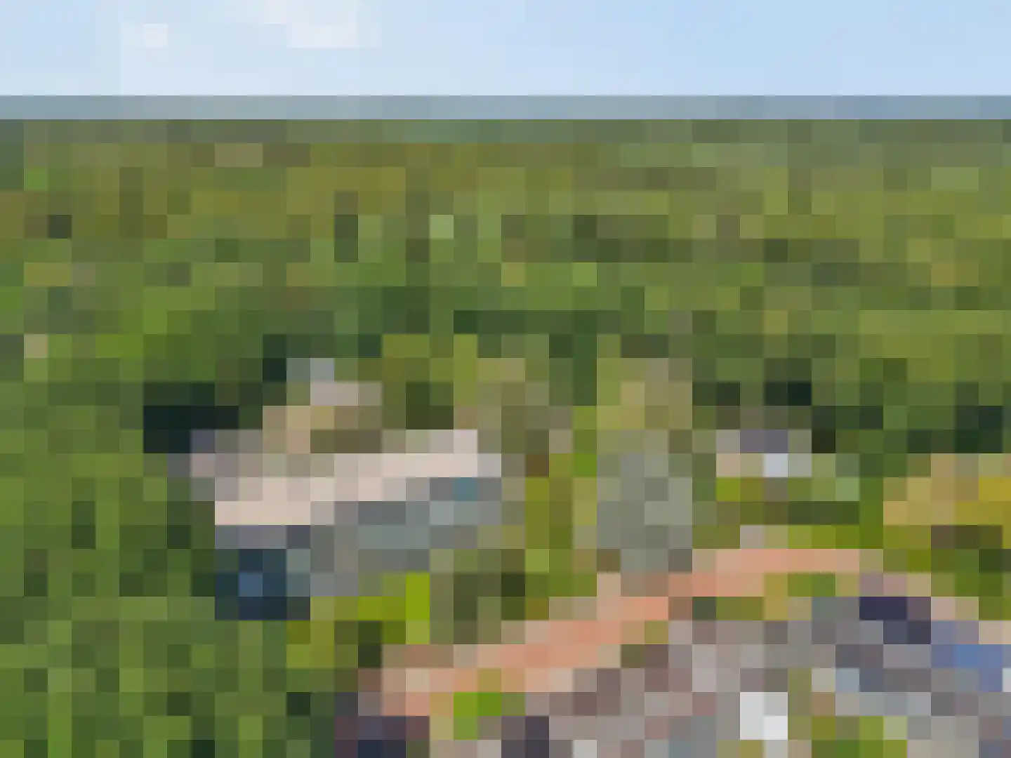 Sweelincklaan 66 Ede thumbnail 38