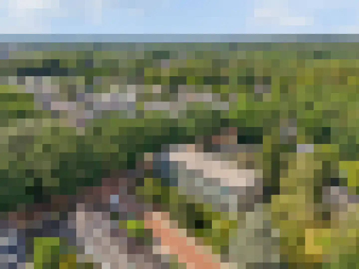 Sweelincklaan 66 Ede thumbnail 39