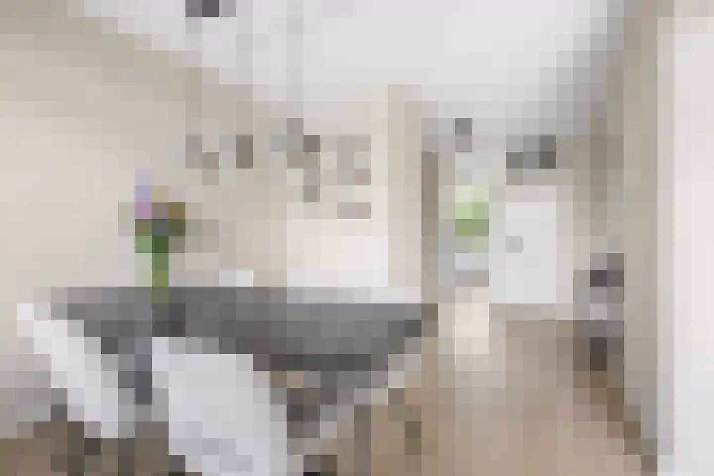 Sweelincklaan 66 Ede thumbnail 4