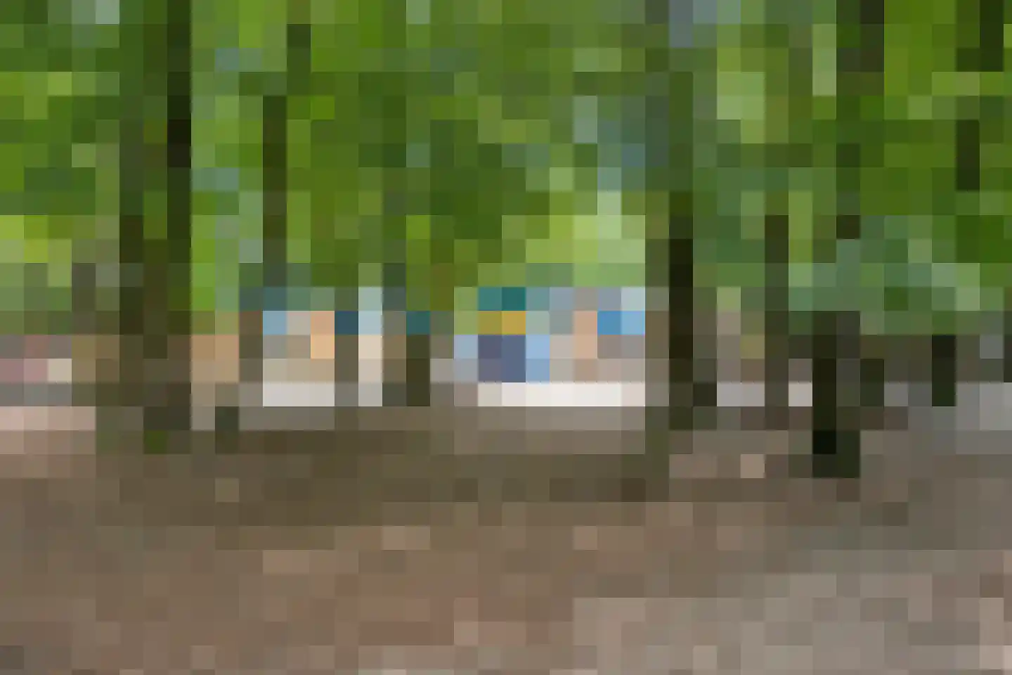 Sweelincklaan 66 Ede thumbnail 40