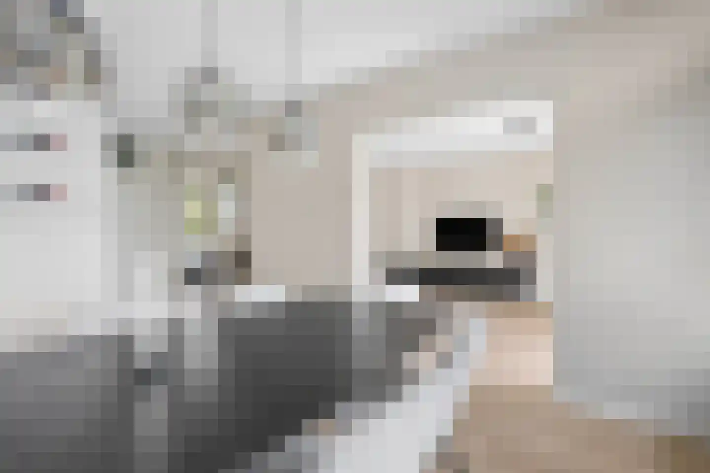 Sweelincklaan 66 Ede thumbnail 6