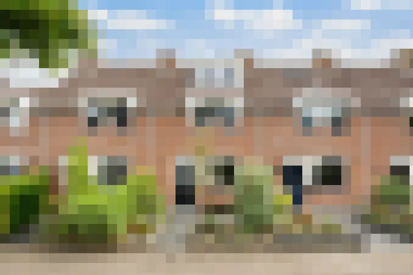 Sweelincklaan 67 's-Gravenzande