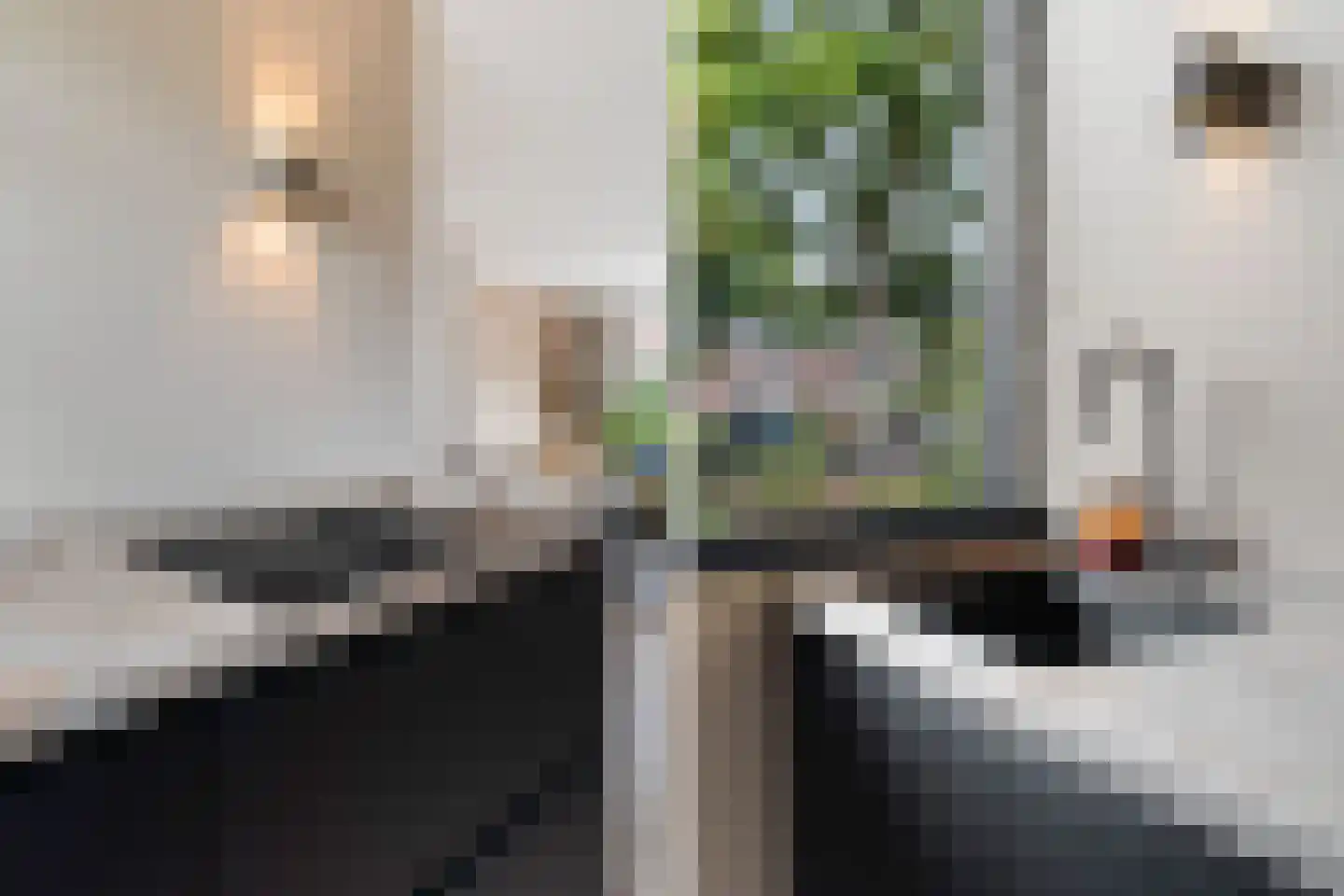Sweelincklaan 67 's-Gravenzande thumbnail 10