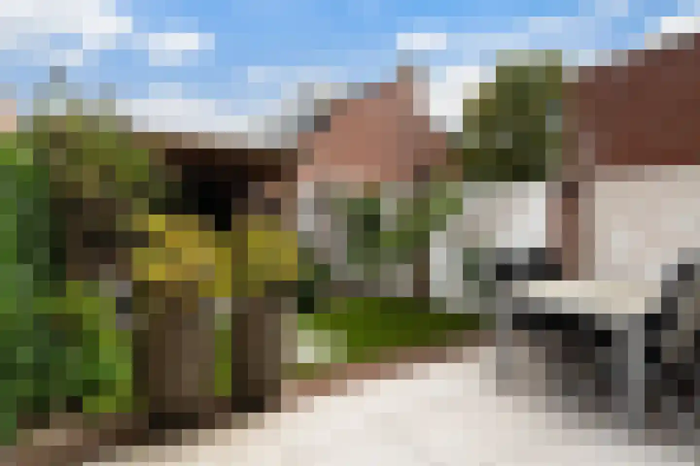 Sweelincklaan 67 's-Gravenzande thumbnail 14