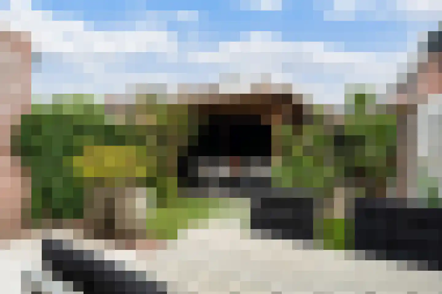 Sweelincklaan 67 's-Gravenzande thumbnail 15