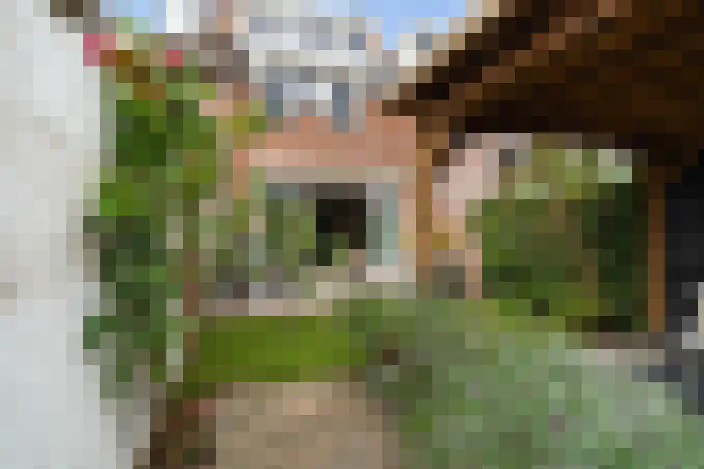 Sweelincklaan 67 's-Gravenzande thumbnail 17