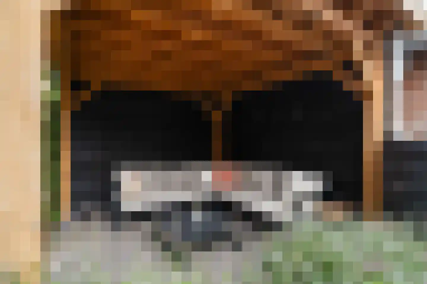 Sweelincklaan 67 's-Gravenzande thumbnail 18