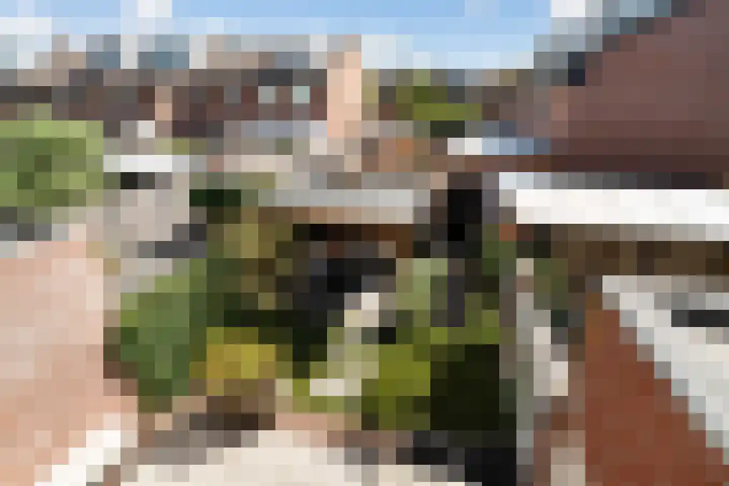 Sweelincklaan 67 's-Gravenzande thumbnail 20