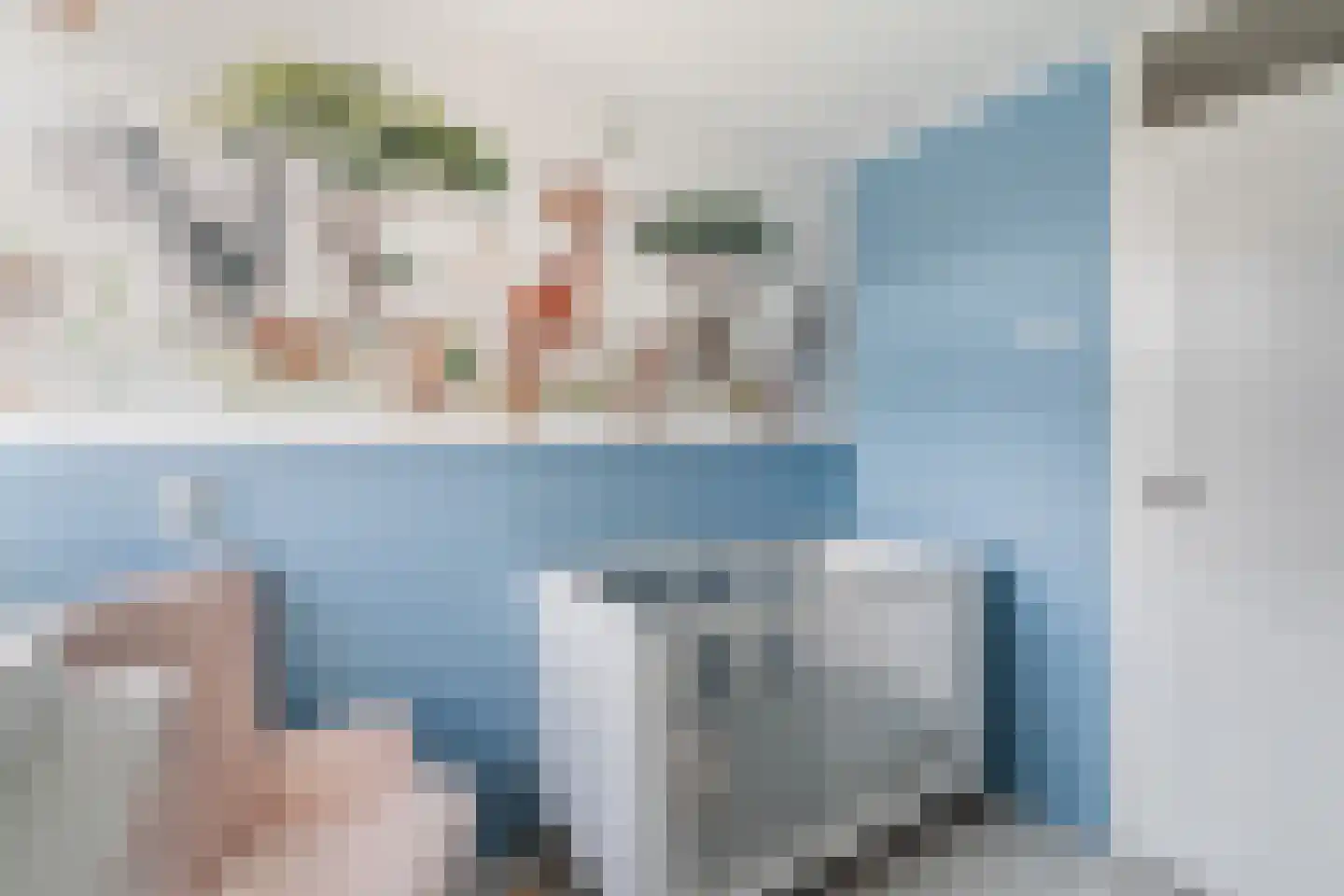 Sweelincklaan 67 's-Gravenzande thumbnail 32