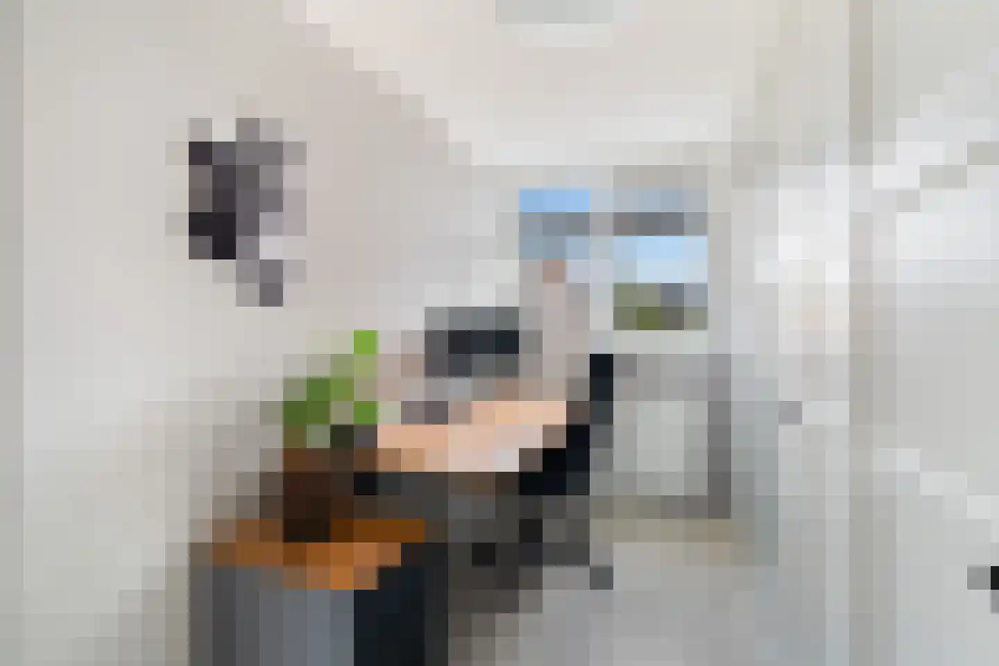 Sweelincklaan 67 's-Gravenzande thumbnail 33
