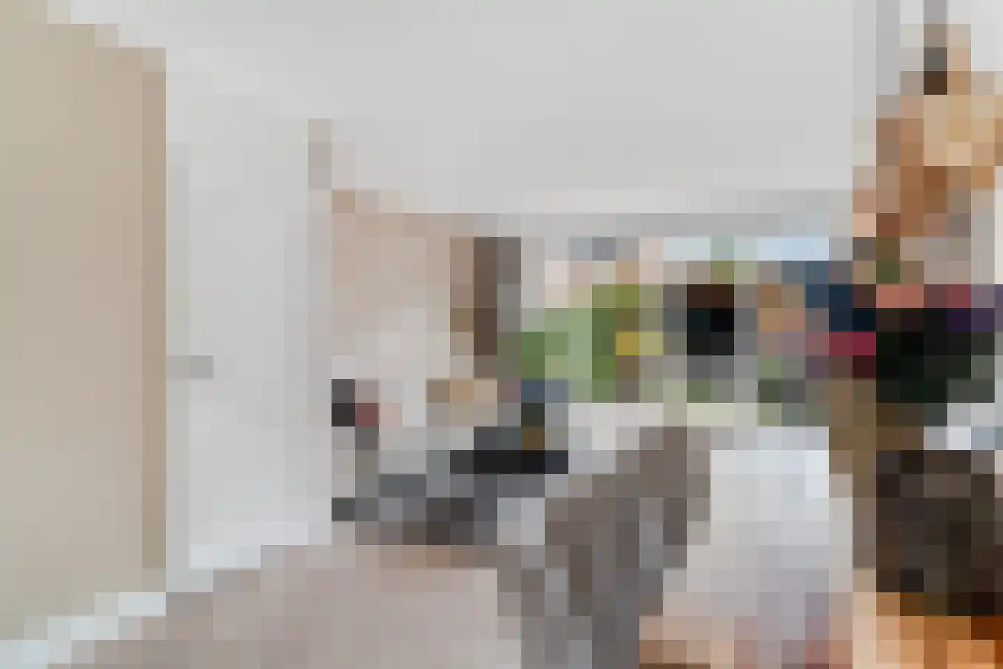 Sweelincklaan 67 's-Gravenzande thumbnail 4