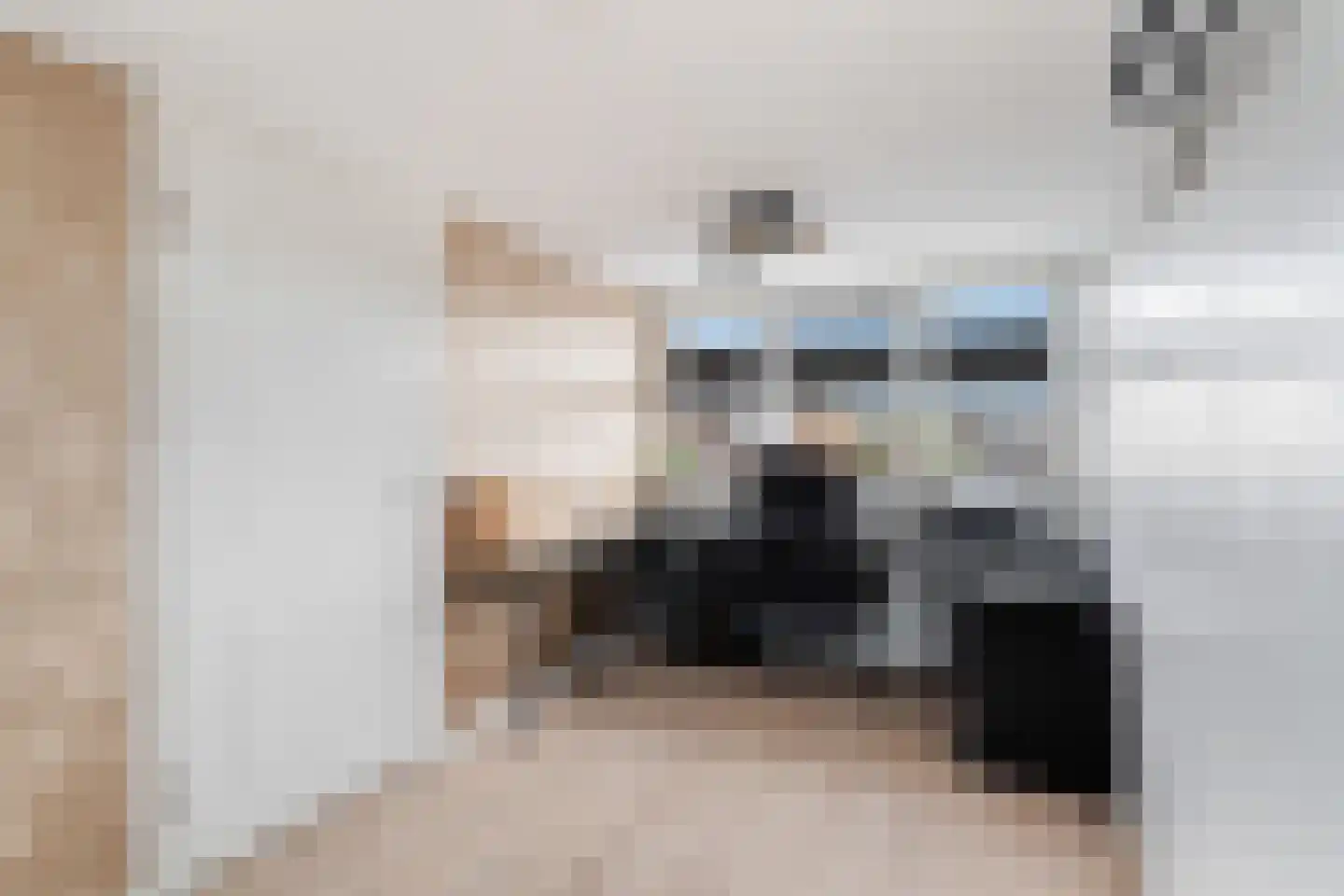 Sweelincklaan 67 's-Gravenzande thumbnail 41
