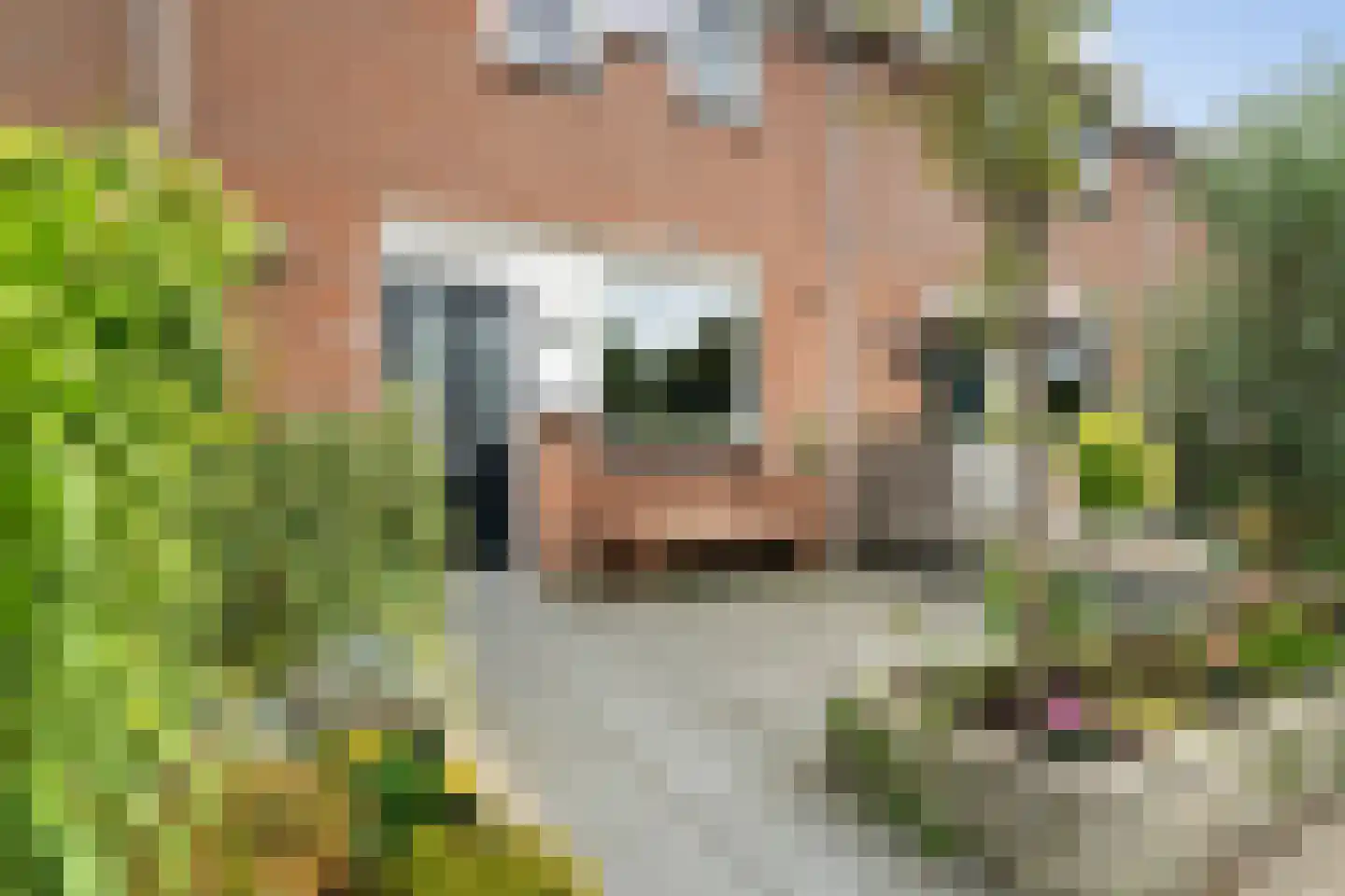 Sweelincklaan 67 's-Gravenzande thumbnail 44