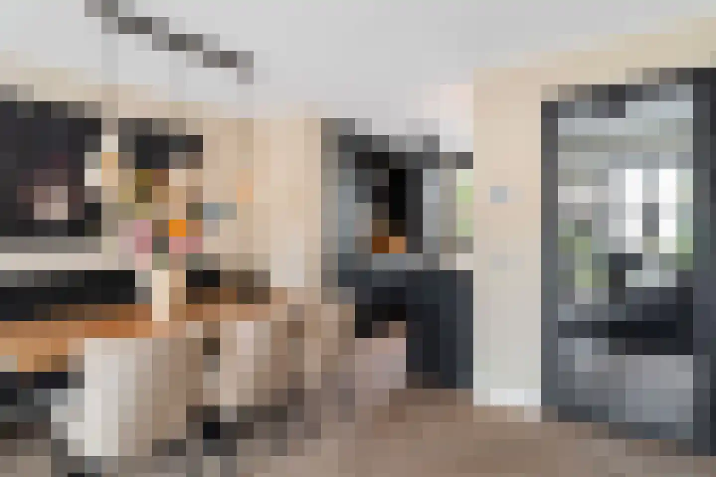 Sweelincklaan 67 's-Gravenzande thumbnail 8