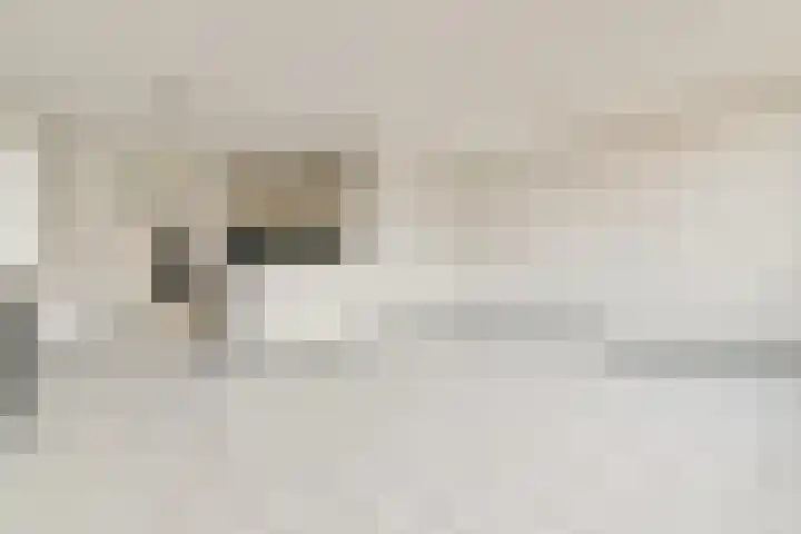 Sweelincklaan 69 Rhoon thumbnail 10