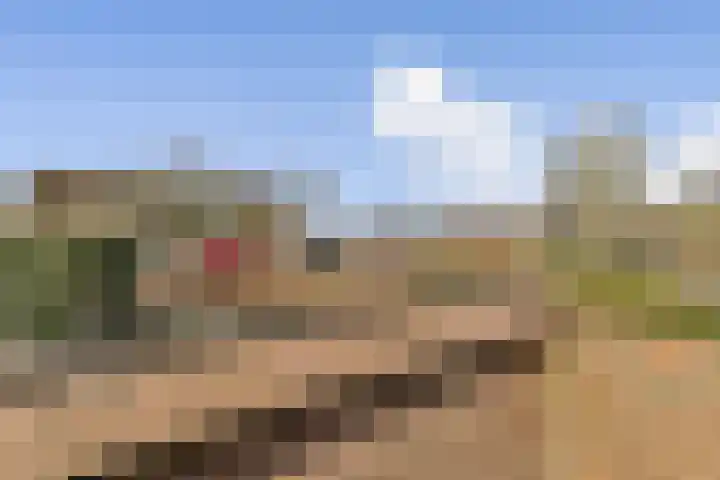 Sweelincklaan 69 Rhoon thumbnail 12