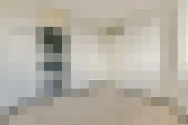Sweelincklaan 69 Rhoon thumbnail 14