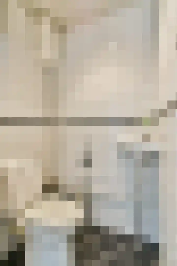 Sweelincklaan 69 Rhoon thumbnail 16