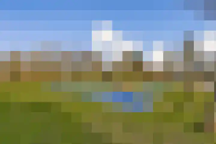 Sweelincklaan 69 Rhoon thumbnail 18