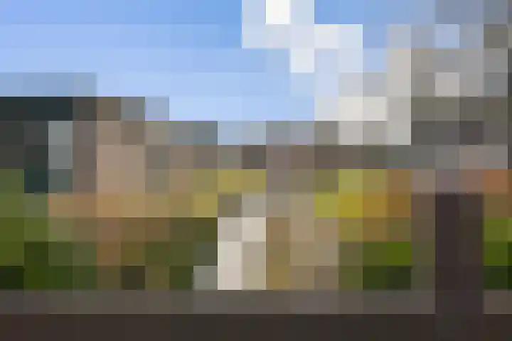 Sweelincklaan 69 Rhoon thumbnail 19