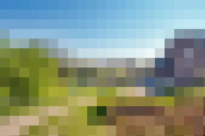 Sweelincklaan 69 Rhoon thumbnail 20