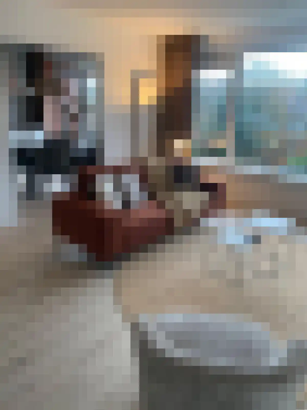 Sweelincklaan 7 Breda thumbnail 4