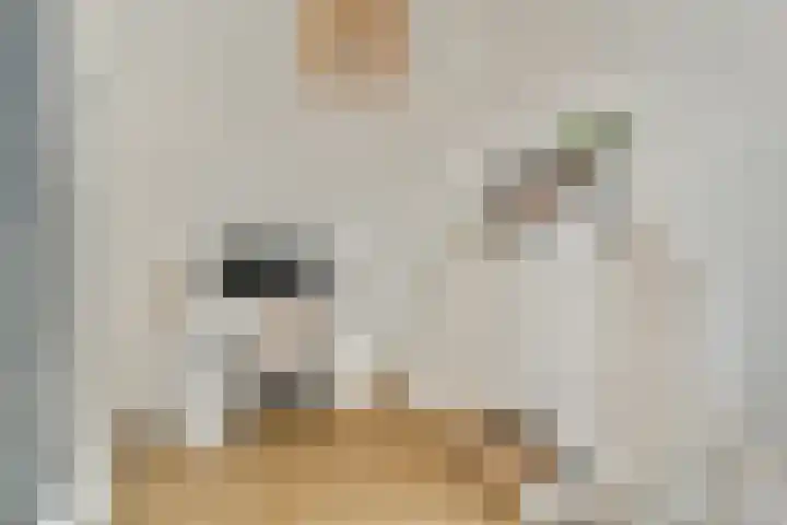 Sweelincklaan 77 Rhoon thumbnail 14