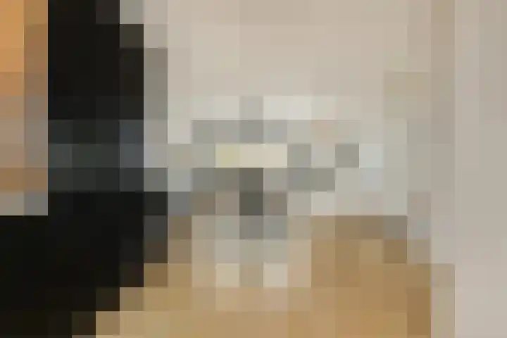 Sweelincklaan 77 Rhoon thumbnail 18