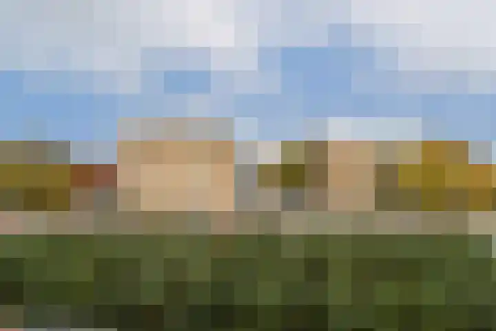 Sweelincklaan 77 Rhoon thumbnail 21