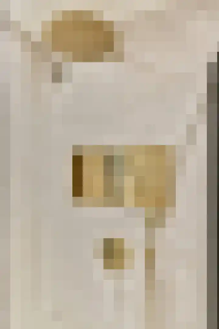 Sweelincklaan 77 Rhoon thumbnail 27