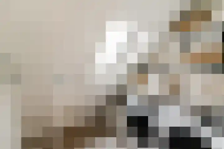 Sweelincklaan 77 Rhoon thumbnail 30
