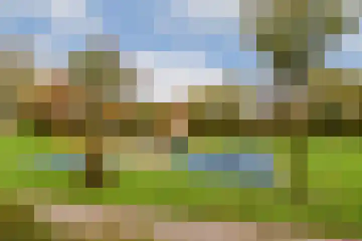 Sweelincklaan 77 Rhoon thumbnail 32
