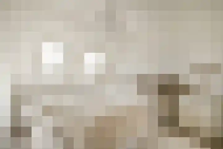 Sweelincklaan 77 Rhoon thumbnail 4