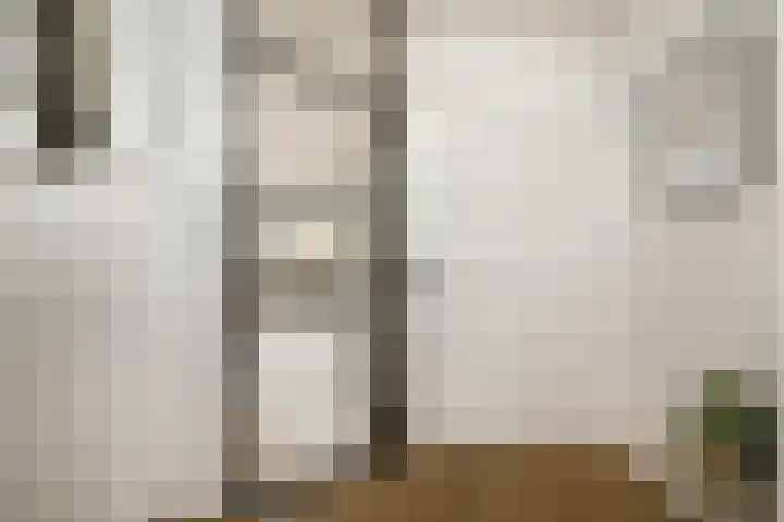 Sweelincklaan 77 Rhoon thumbnail 8